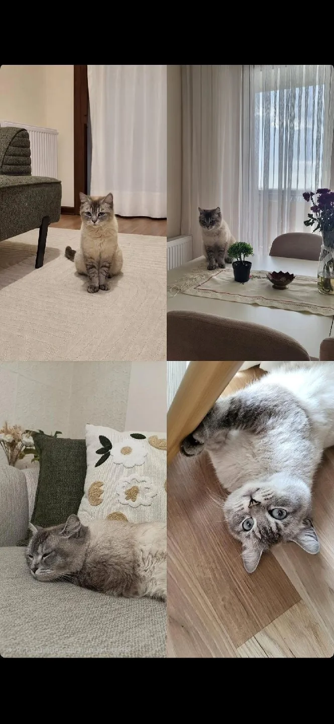 Sümeyye çalışkan