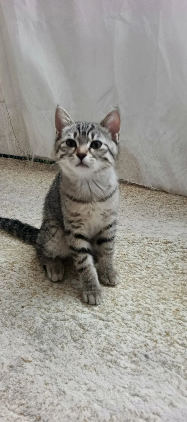 Rıdvan aslan