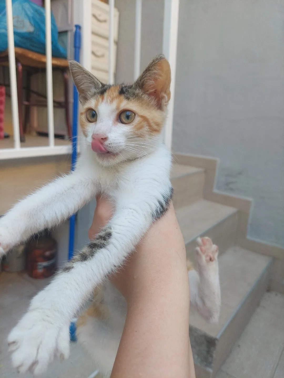 Silinmiş Kullanıcı