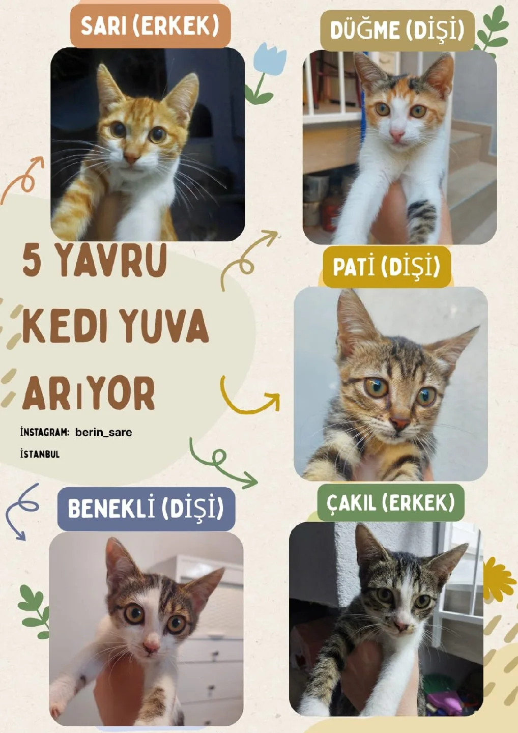 Silinmiş Kullanıcı