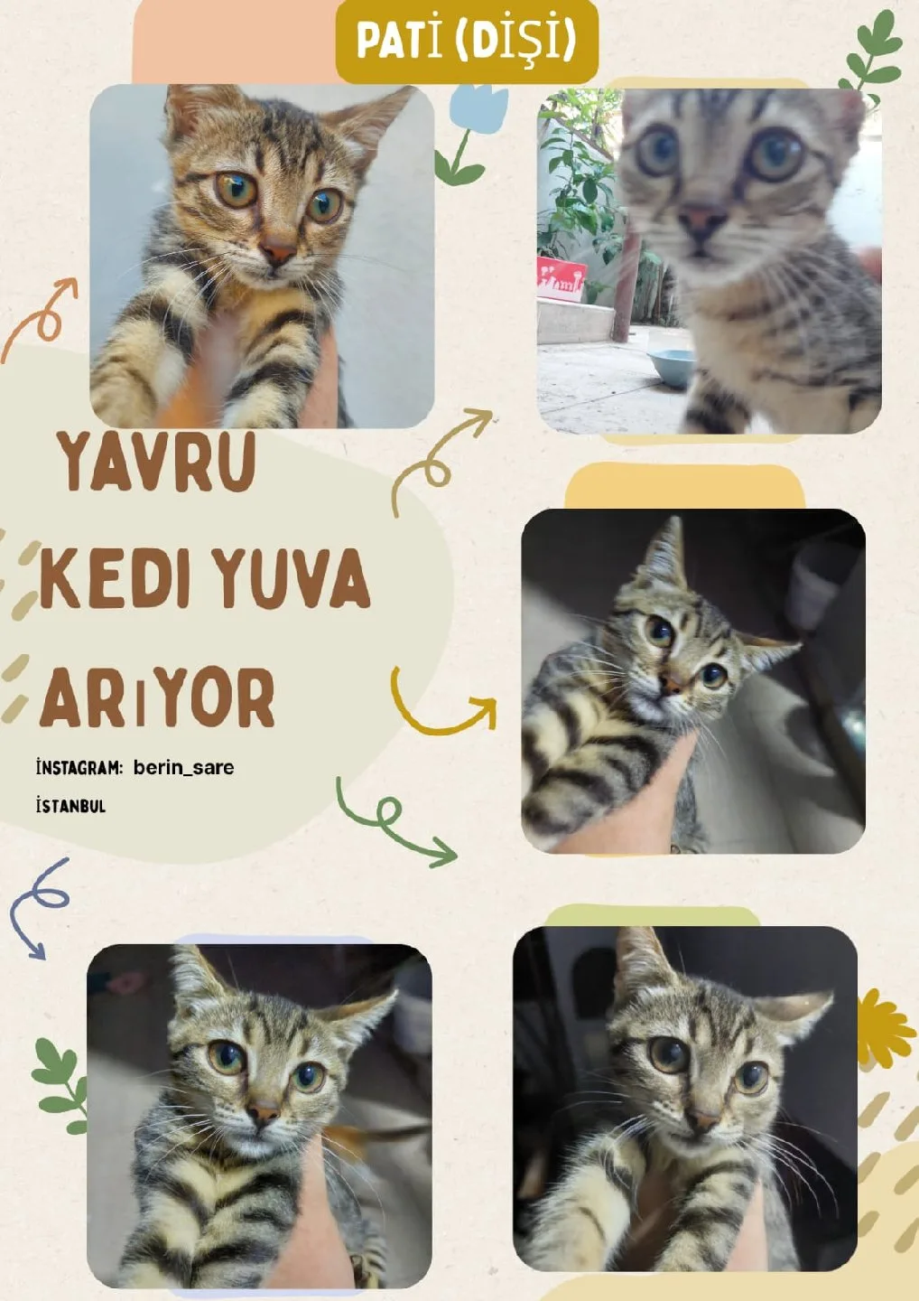 Silinmiş Kullanıcı