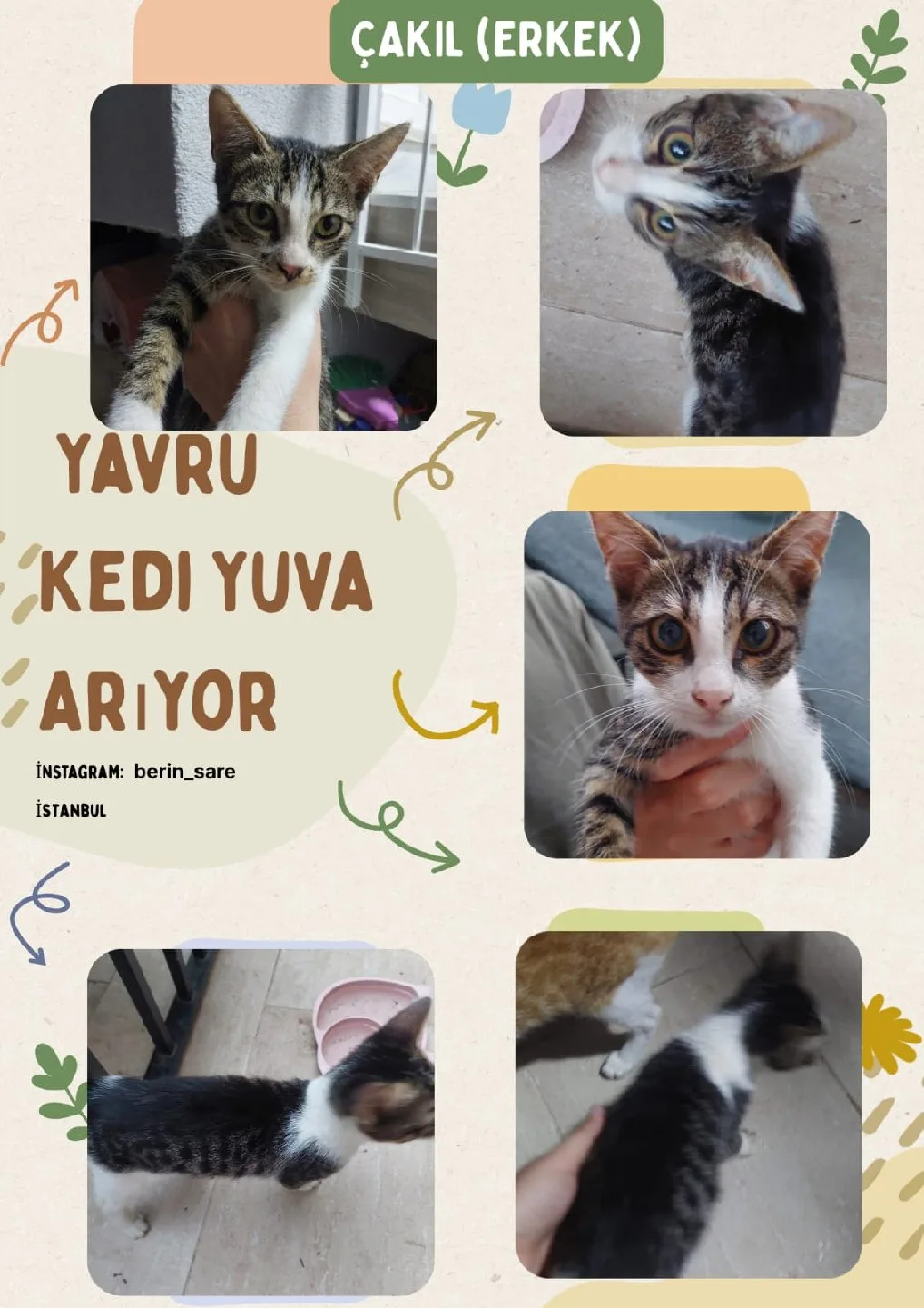Silinmiş Kullanıcı