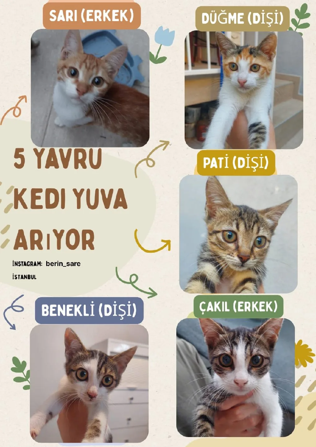 Silinmiş Kullanıcı