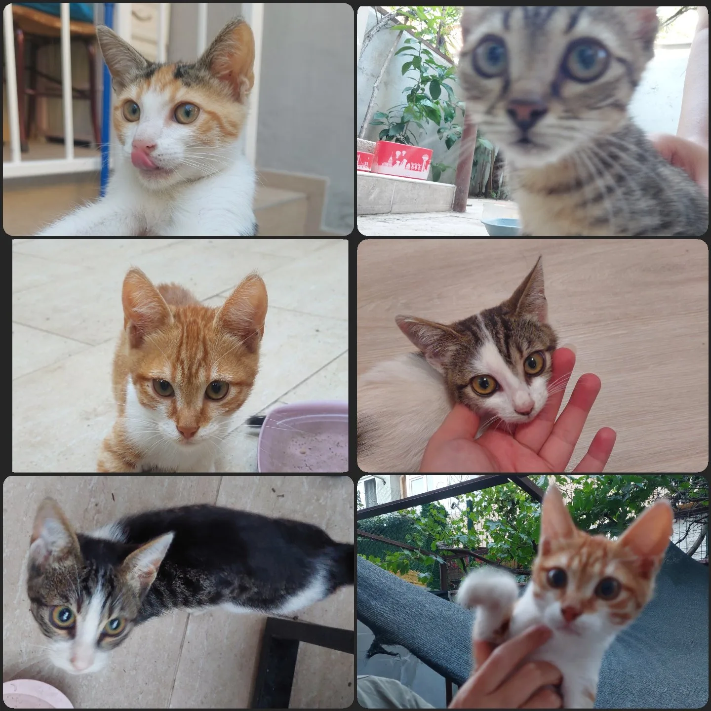 Silinmiş Kullanıcı