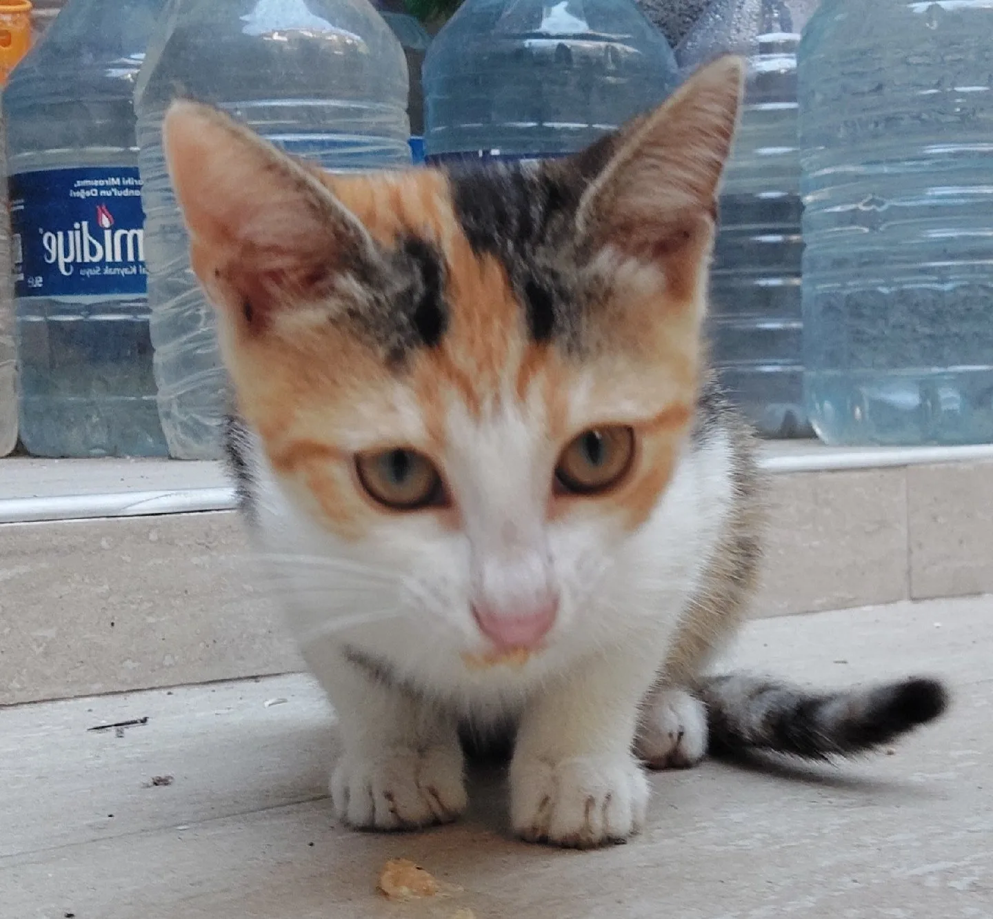 Silinmiş Kullanıcı
