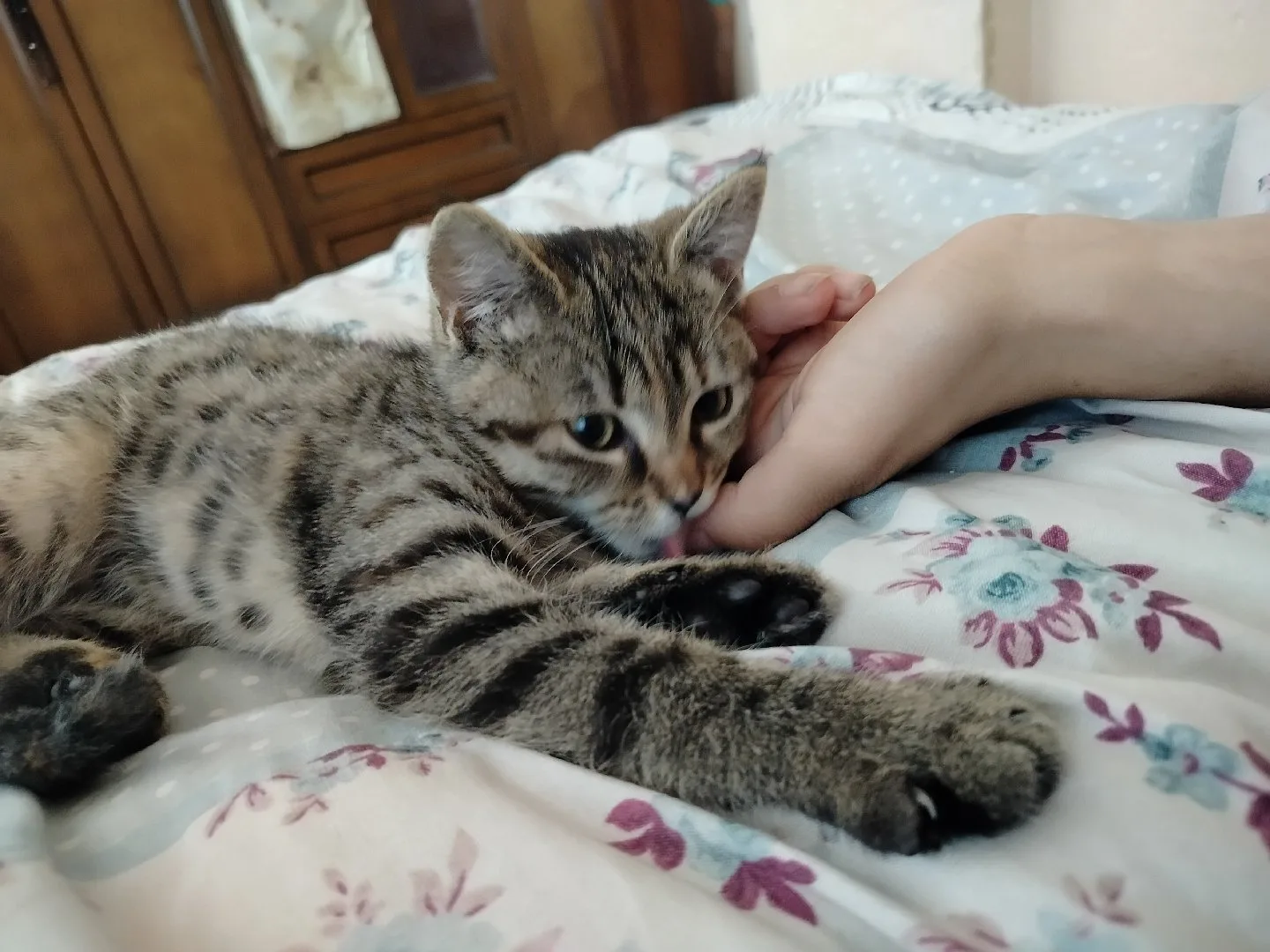 Esma Aslan