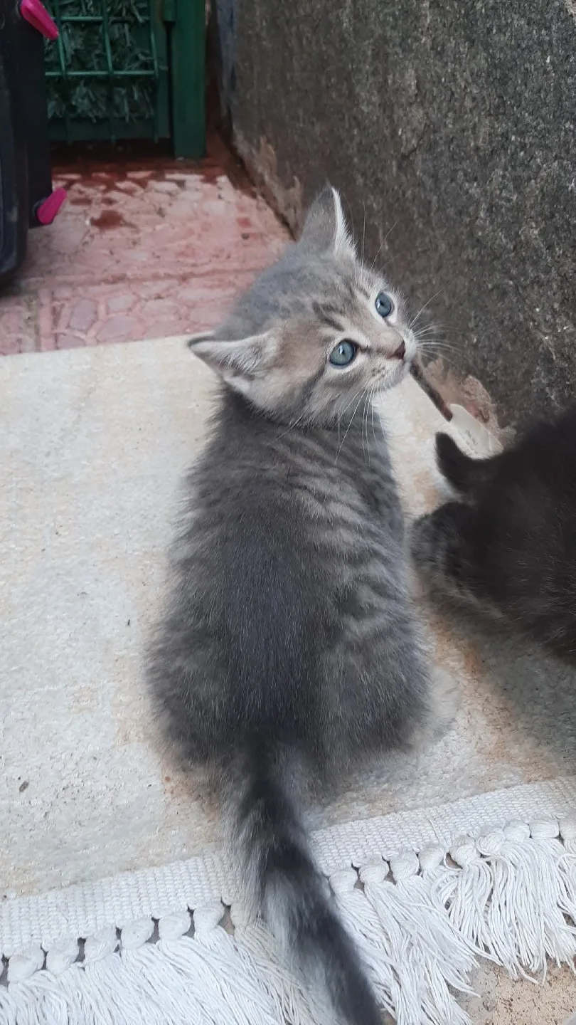 Silinmiş Kullanıcı