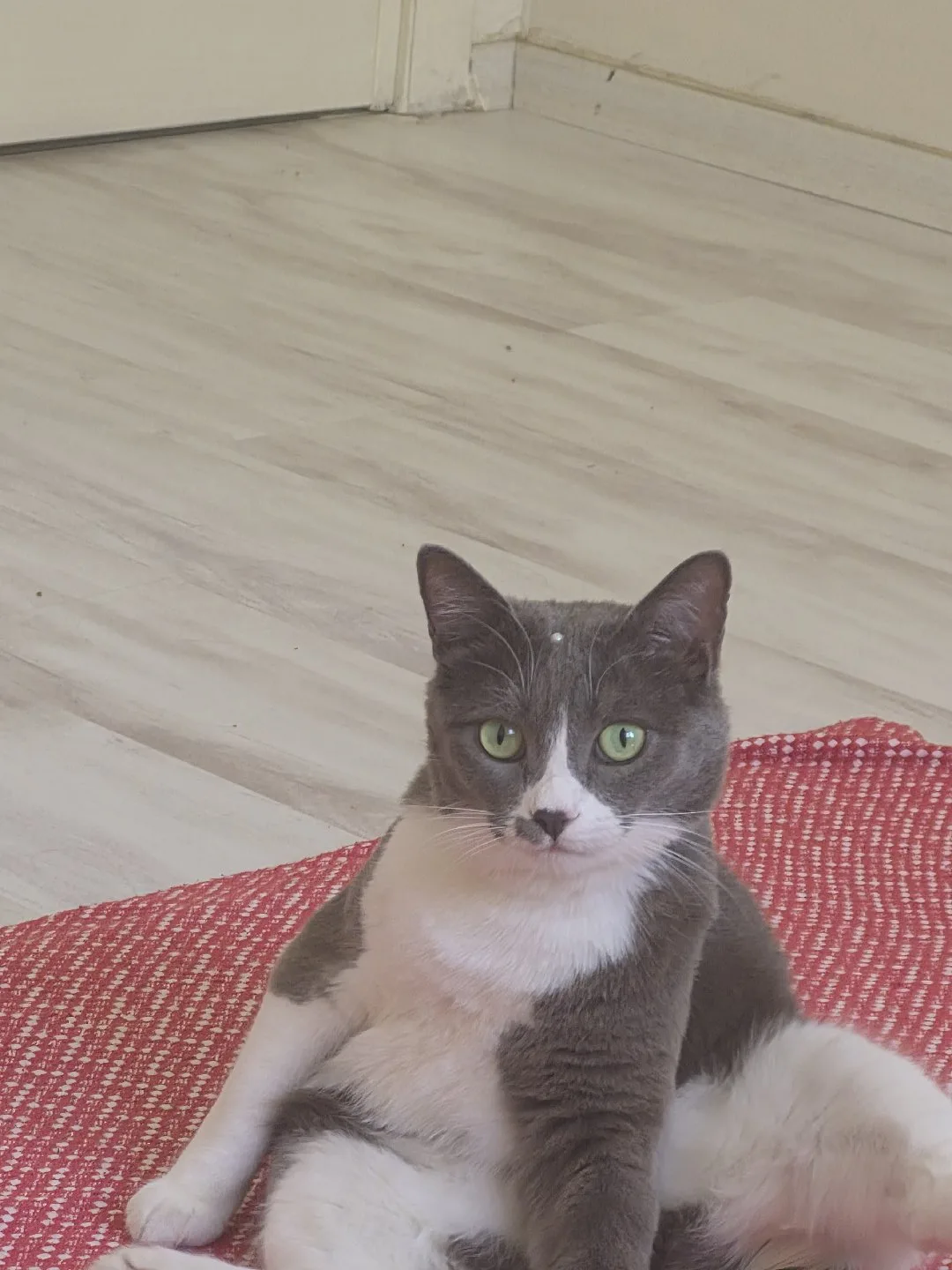 Yağmur Çetin