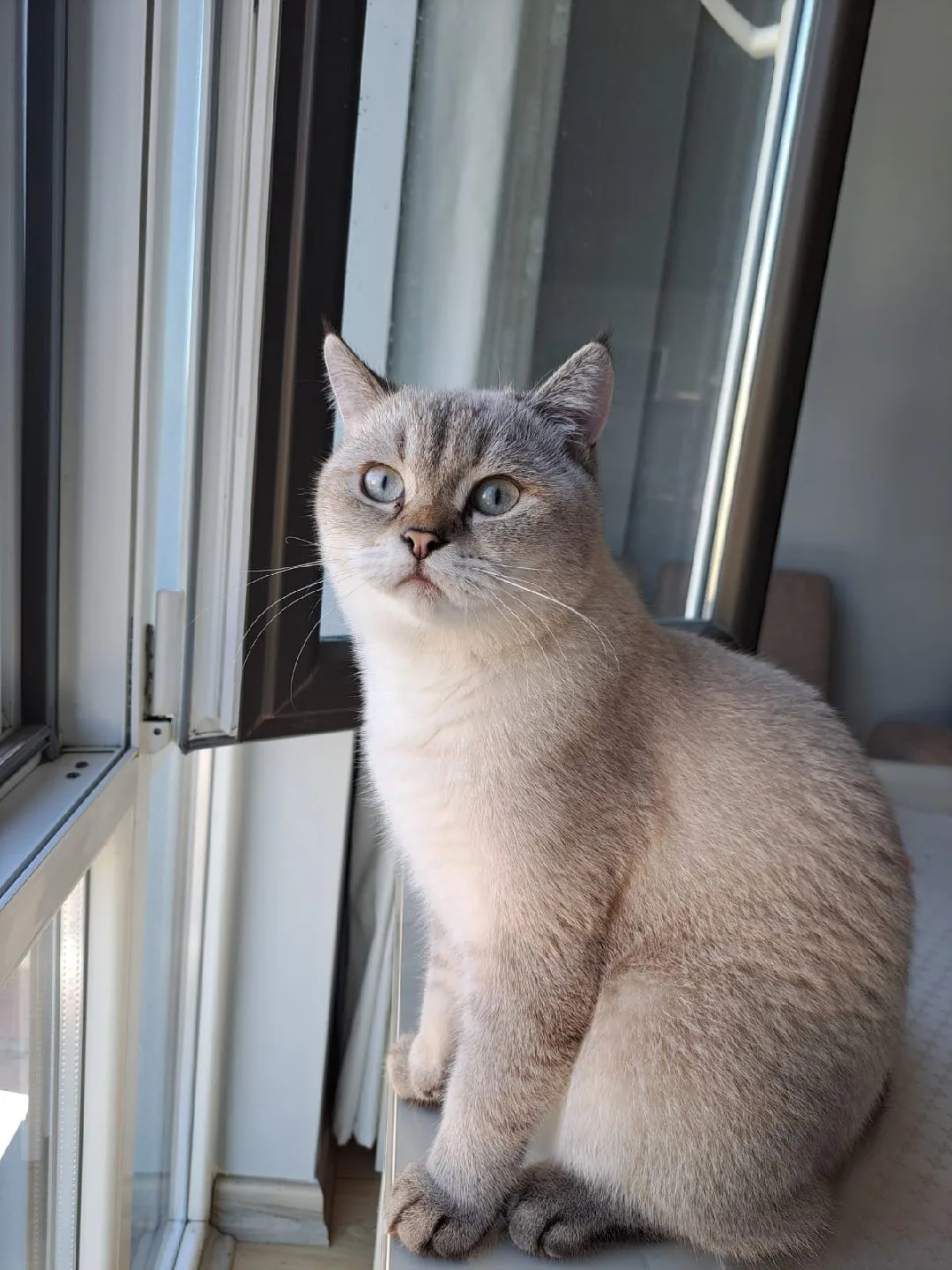 erdi erbaş