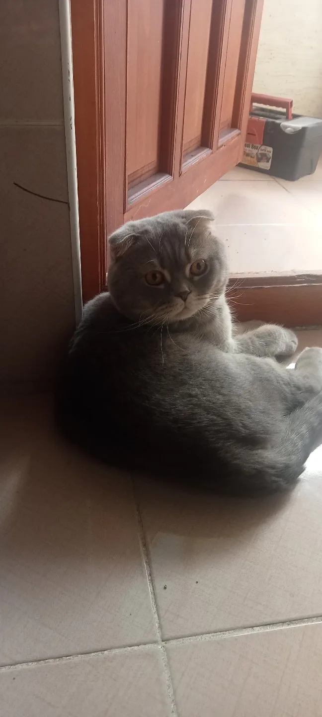 Fatma Kılınç Ersoy