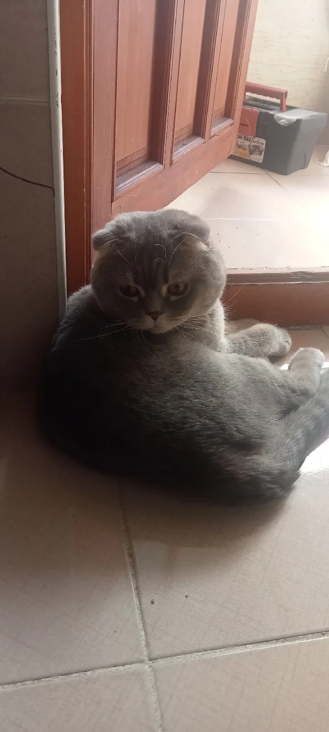Fatma Kılınç Ersoy